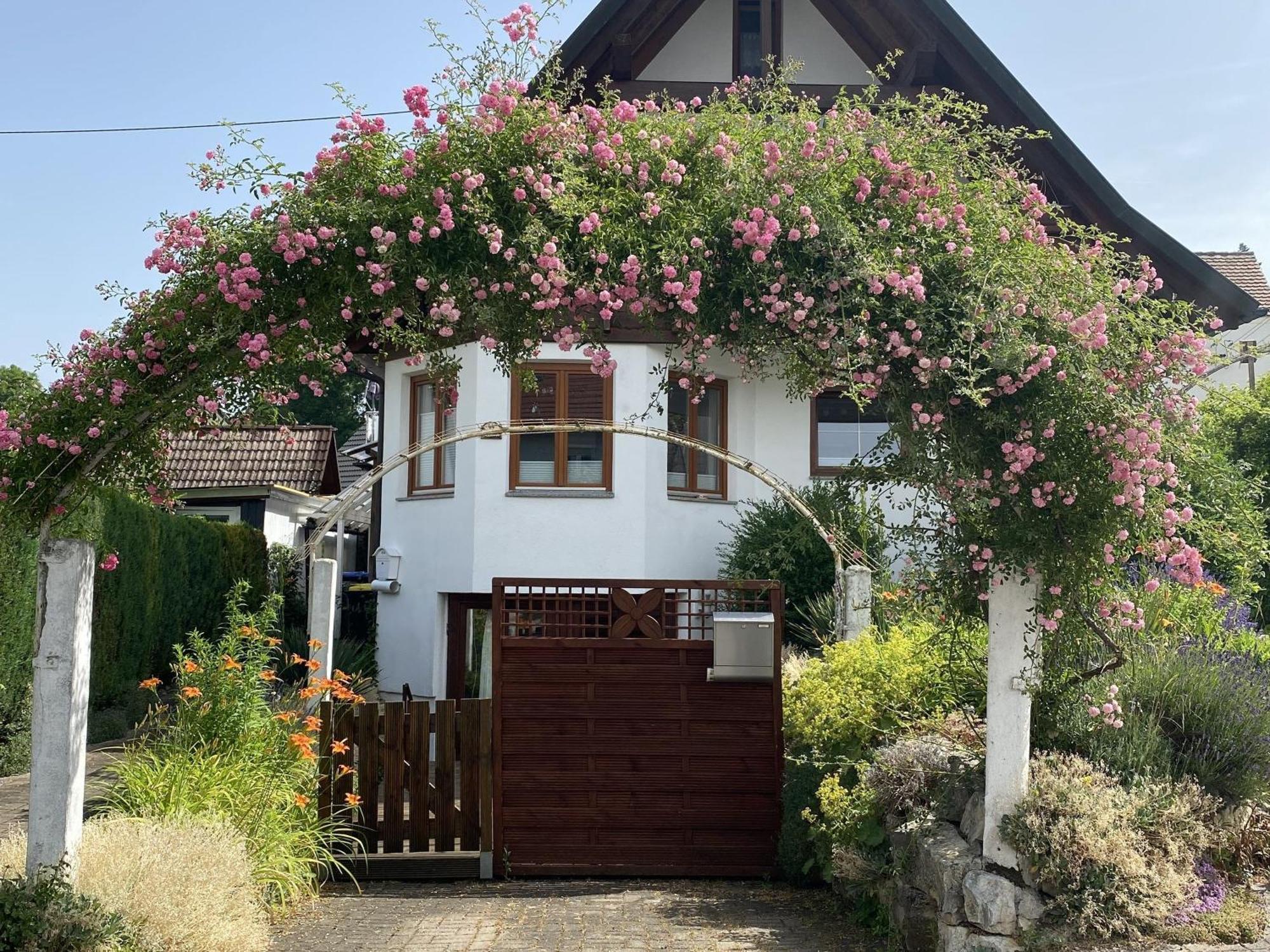 Apartamento Dalea Bad Waldsee Exterior foto